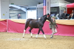 SBM_02985