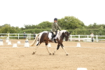 SBM_008657