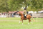 SBM_64224