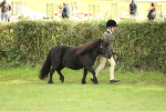 SBM_62761