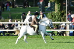 SBM_54037