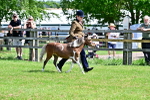 SBM_03548