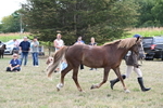 WJ6_6685