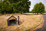Kingham 11