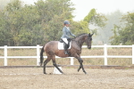 SBM_003897