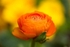 20120406-_MG_9449