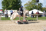 SBM_17966
