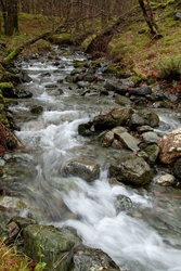 Lake District portfolio