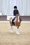 SBM_006311