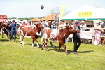 SBM_08330