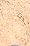 230915A-122122-00371