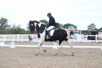 SBM_04940