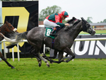 160626-Race 4-Mr King-7