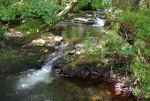 Tumbling Afon Tarell