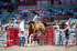 3HRodeo_CFD_JUL_22_2026_00316