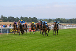 140726-Race 5-Crafty Spirit-1567