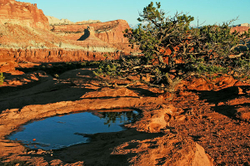 Capital Reef National Park portfolio