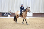 SBM_007246