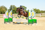 SBM_006606