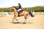 SBM_001686