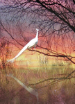 Dawn magic