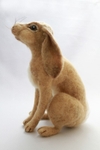 Moon Gazing Hare