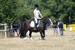 WJ7_9563