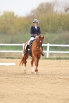 SBM_006595