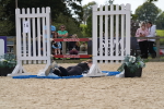 SBM_45469