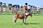 SBM_03597