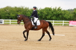 SBM_004664