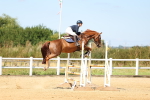 SBM_008304