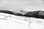 Shutlingsloe from Buxton Old Road (4)