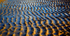 Holkham 11