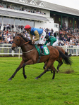 Race 3 15.25pm Theakston Brewing Legends Since 1827 Handicap portfolio