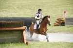 BVHT 140517  IXC -191