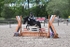 BPP_7296