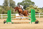 SBM_004399