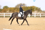 SBM_010220