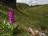 Cressbrook Dale (01)