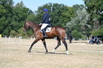 WJ7_9810