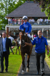 270523-Race 7-Shining Blue-1038