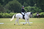 WJ6_6555