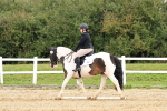 SBM_001358
