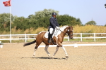 SBM_009312