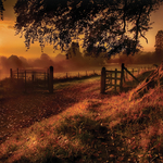 Autumn Sunrise