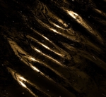 Reflections_25220_RLP0038