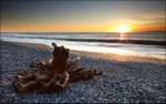 Gillespies Beach