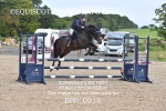 CLASS 3  Senior British Novice/ 90cm Open portfolio