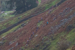 Langdale-11